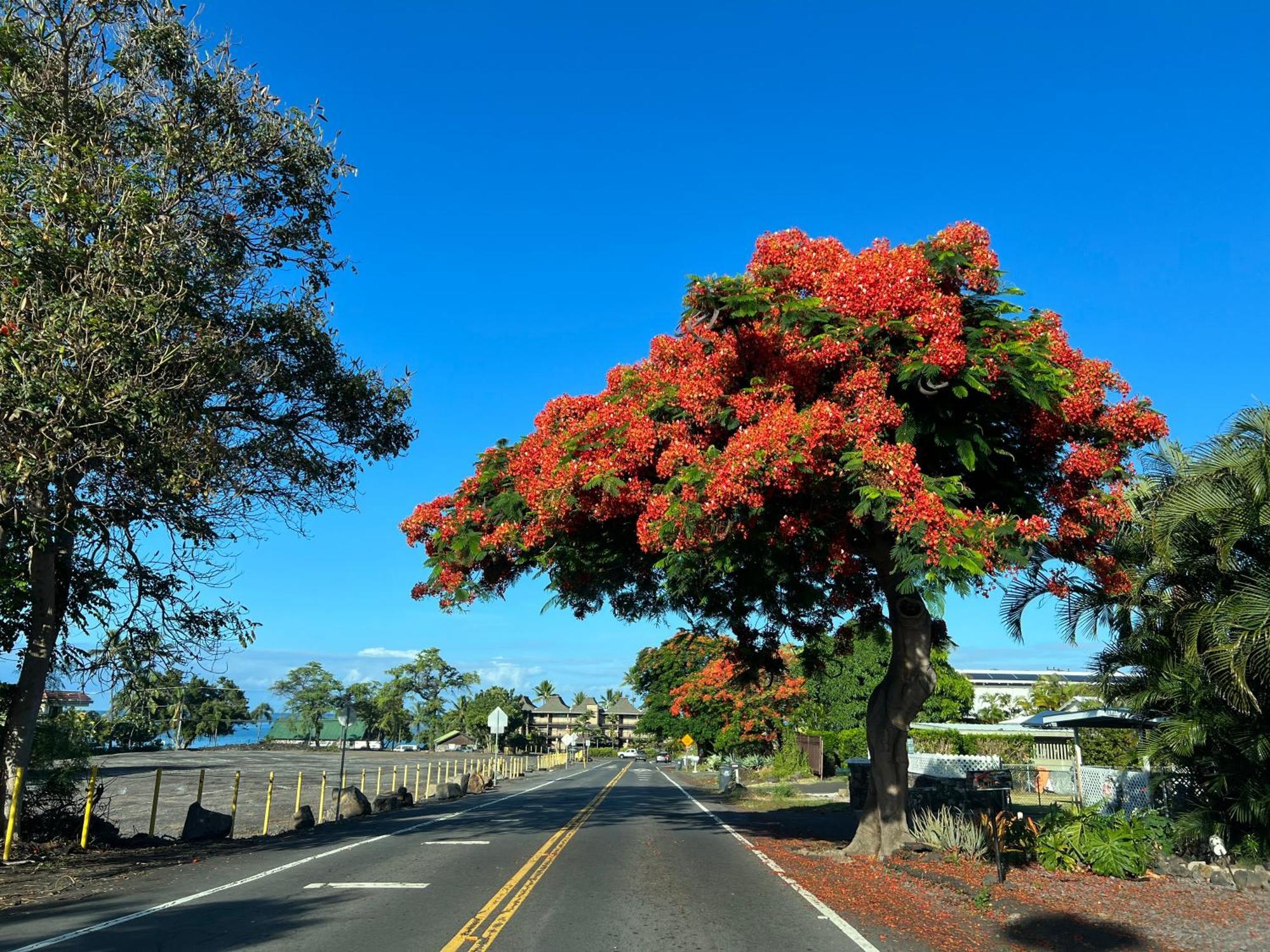 Mailan Hale Apartment Kailua-Kona Luaran gambar